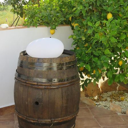 B&B Finca La Manchica Cartagena Eksteriør bilde