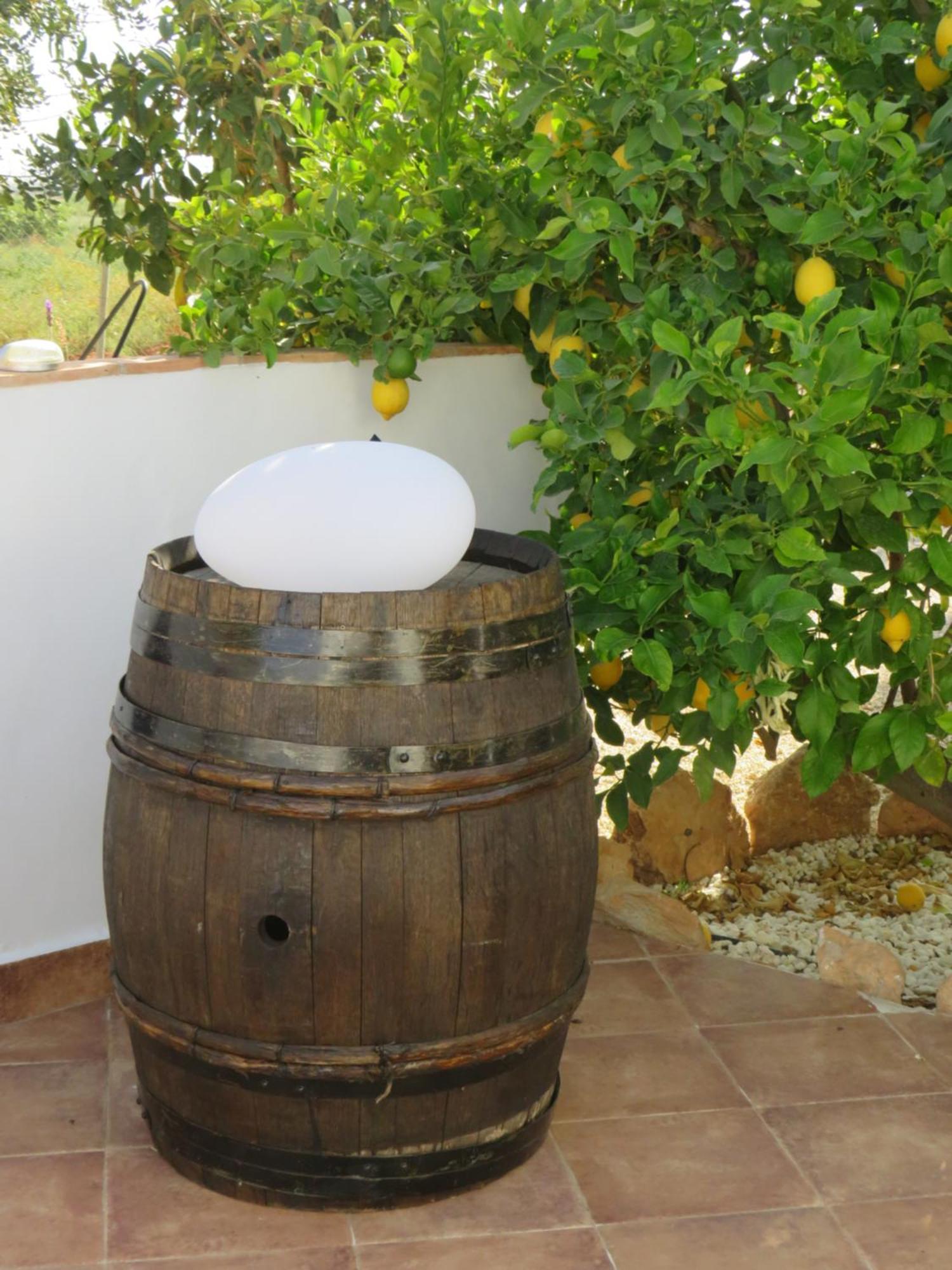 B&B Finca La Manchica Cartagena Eksteriør bilde